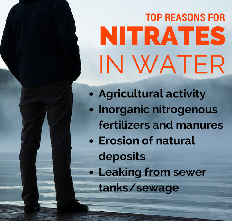 how-do-i-remove-nitrates-from-my-water