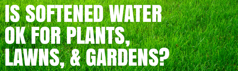 ¿Las plantas de jardín duelen el agua suavizada?
