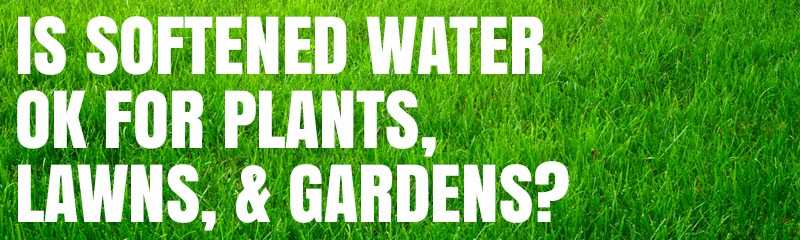 Is Softened Water OK For Plants Lawns Gardens 